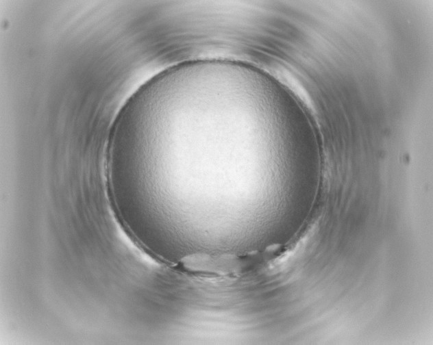 X0000088860847200706221723