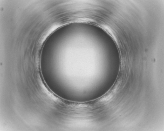 X0000088860851200706221723
