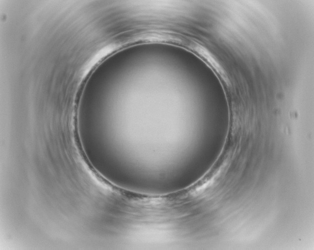 X0000088860853200706221723