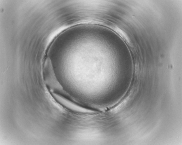 X0000088860854200706221723