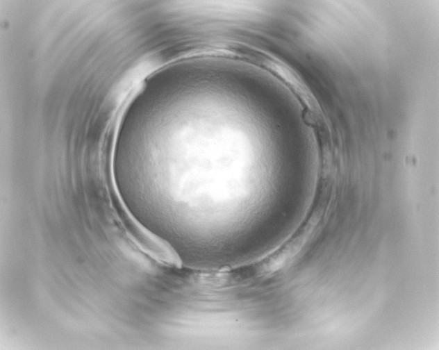 X0000088860858200706221723