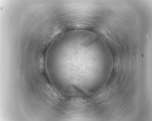 X0000088860866200706221722