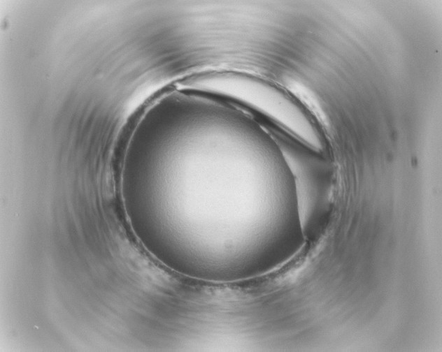 X0000088860876200706221722