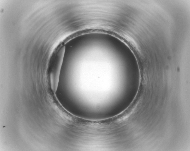 X0000088860880200706221722
