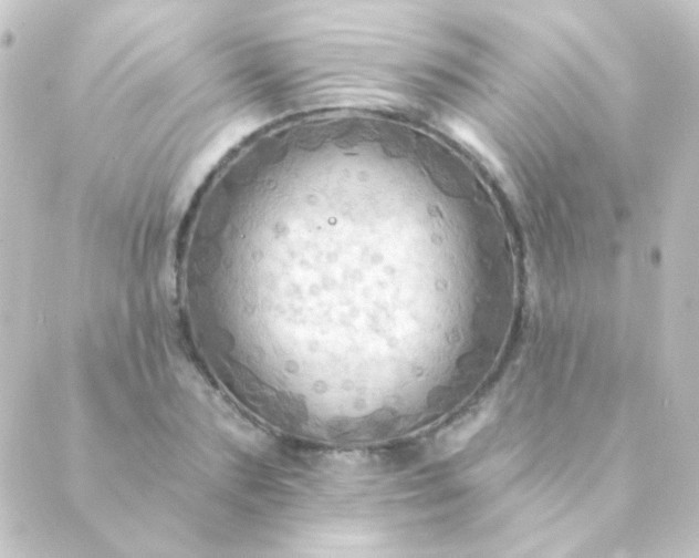 X0000088860883200706221722