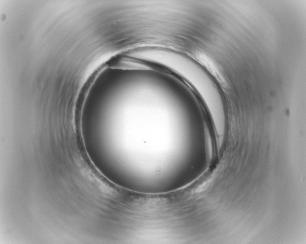X0000088860884200706221722
