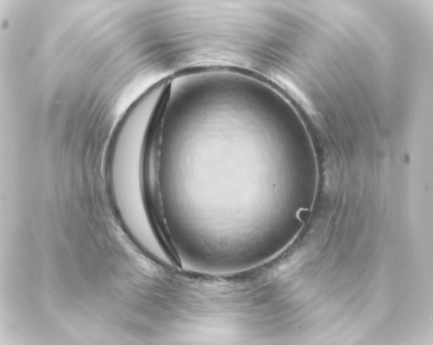 X0000088860885200706221722
