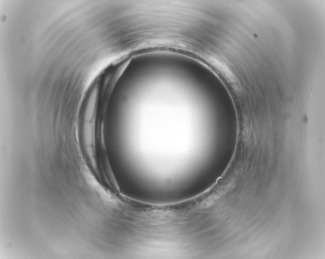 X0000088860888200706221722