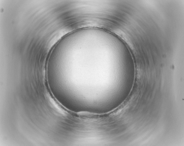 X0000088860890200706221722