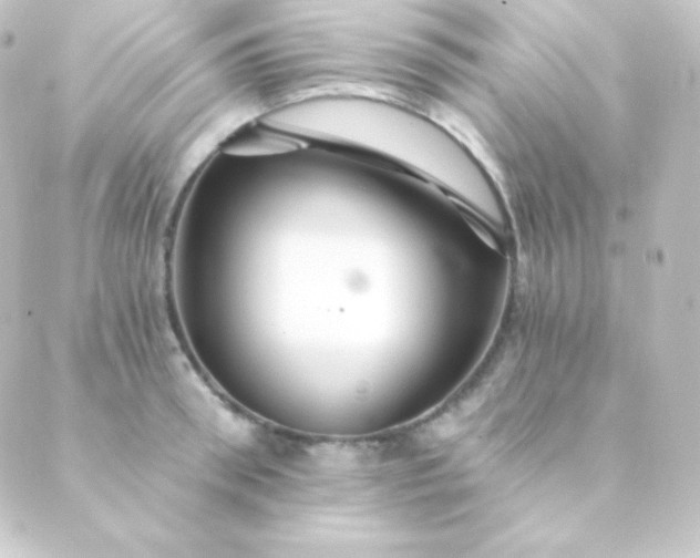 X0000088860898200706221722