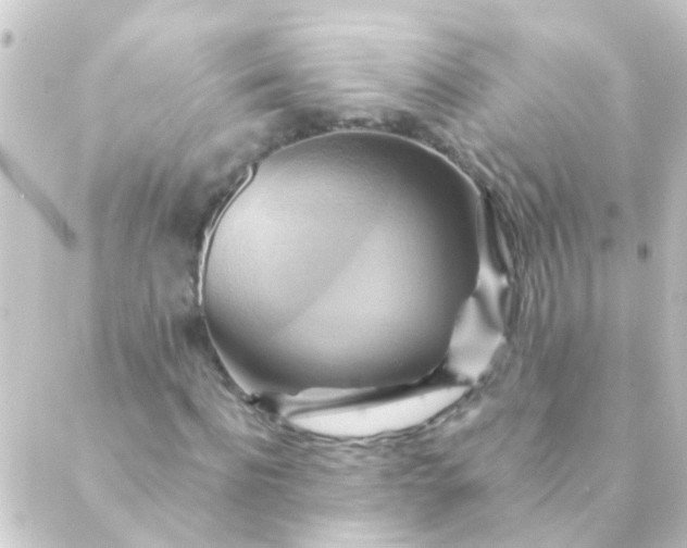 X0000088860916200706221721