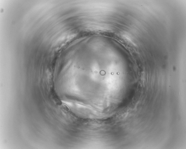 X0000088860917200706221721