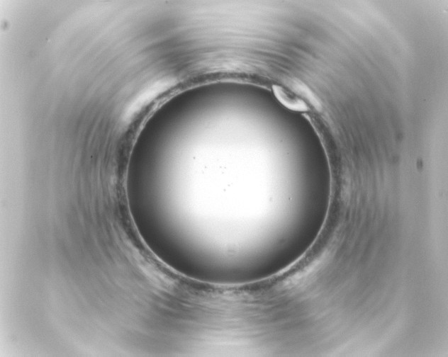 X0000088860922200706221721