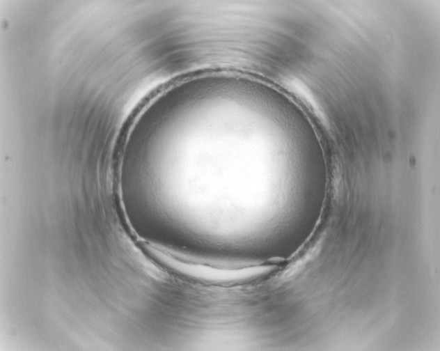 X0000088860924200706221721