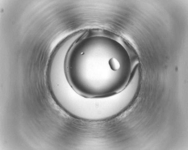 X0000088860928200706221721