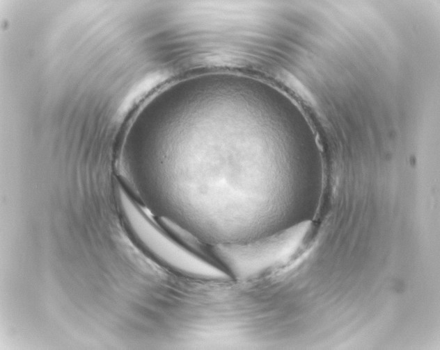 X0000088860930200706221721