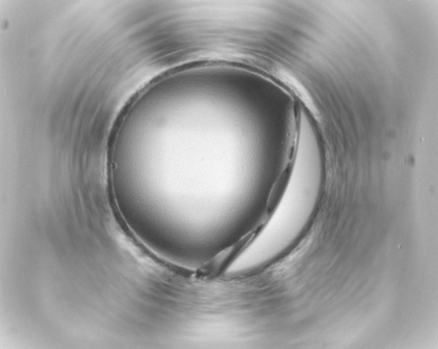 X0000088860939200706221721