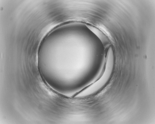 X0000088860940200706221721