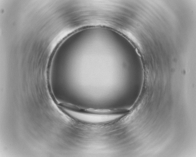 X0000088860943200706221721