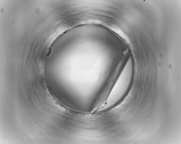 X0000088860945200706221721