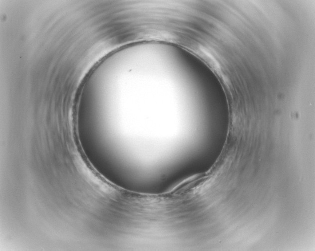 X0000088860947200706221721