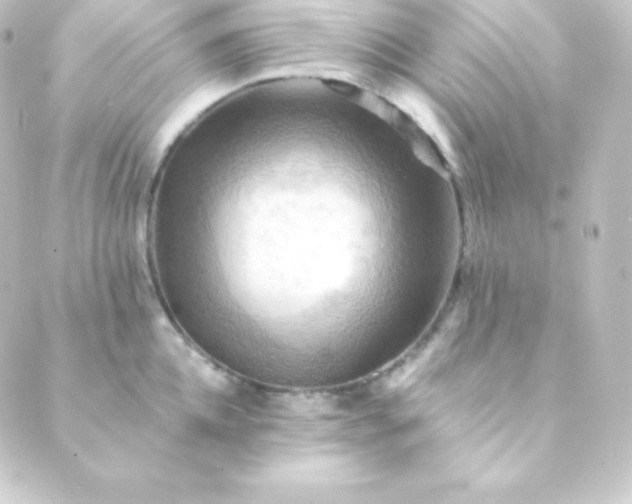 X0000088860952200706221722