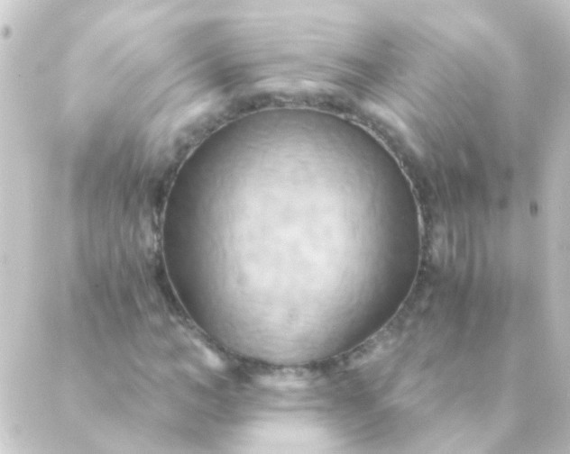 X0000088860966200706221721