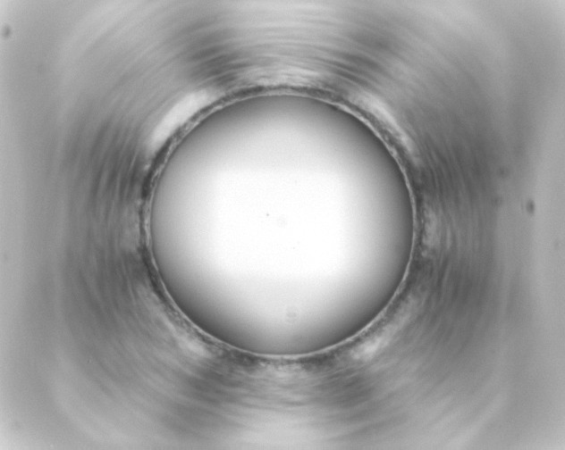 X0000088860978200706221721