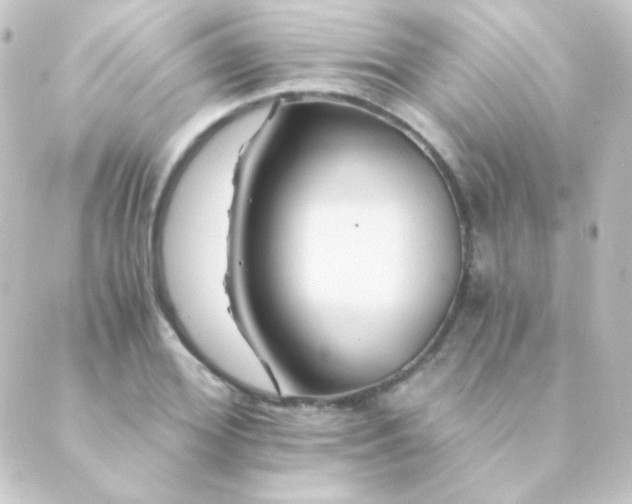 X0000088860980200706221721