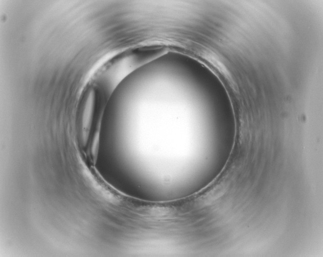 X0000088860984200706221721