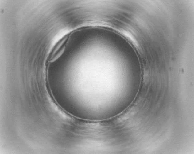 X0000088860990200706221720