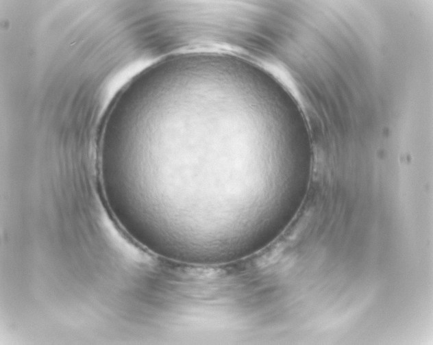 X0000088861003200706221720