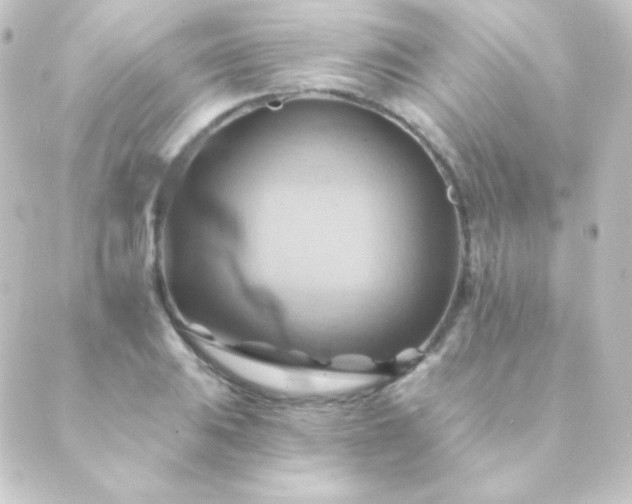 X0000088861031200706221720
