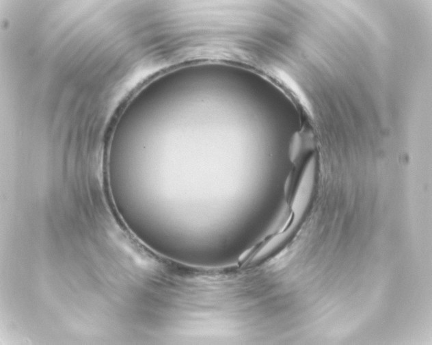 X0000088861035200706221720