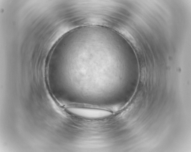 X0000088861039200706221720