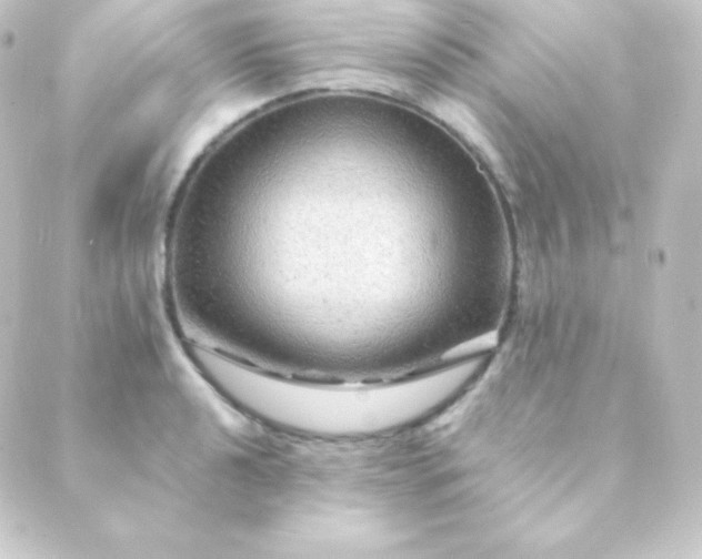 X0000088861040200706221720