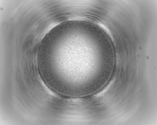 X0000088861041200706221720