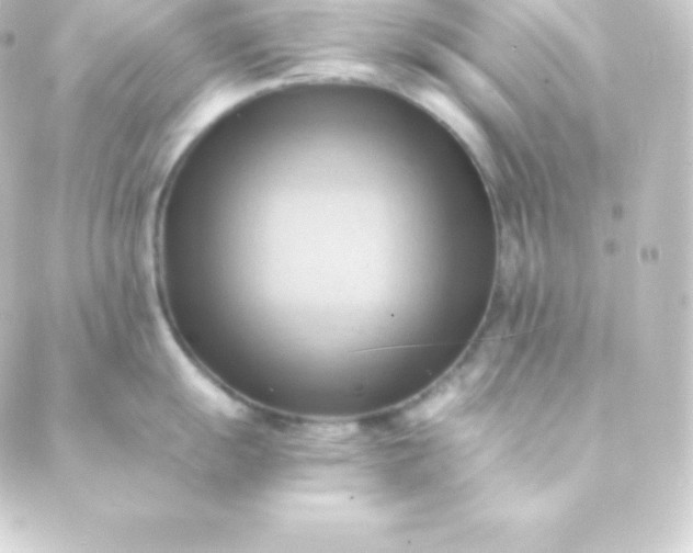 X0000088861055200706221720