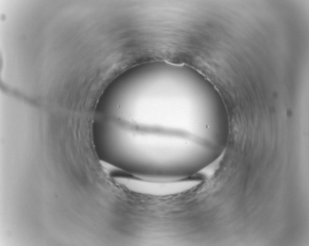 X0000088861057200706221719