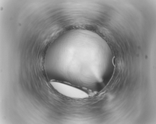 X0000088861060200706221719
