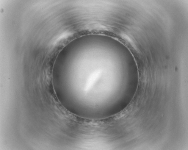 X0000088861063200706221719