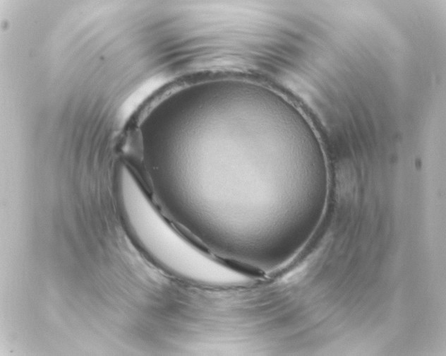 X0000088861066200706221719