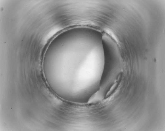 X0000088861071200706221719