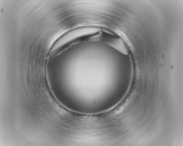 X0000088861081200706221719