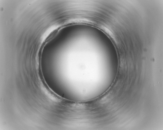 X0000088861082200706221719