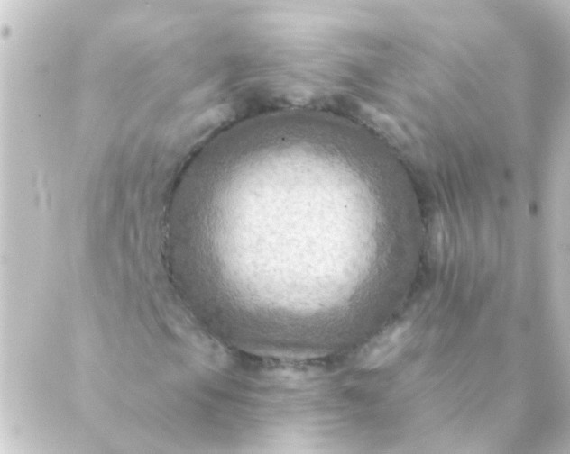 X0000088861105200706221718