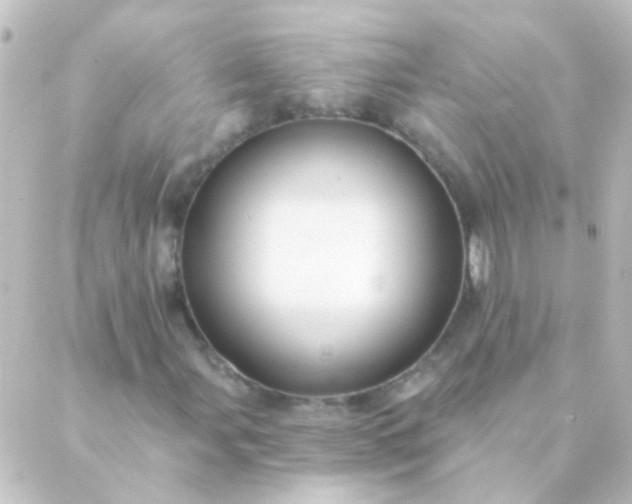 X0000088861107200706221718