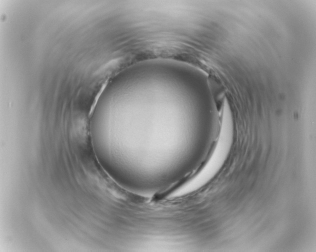 X0000088861108200706221718