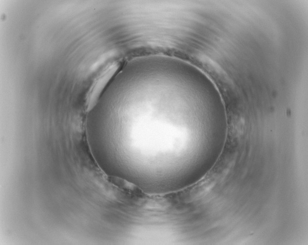 X0000088861110200706221718