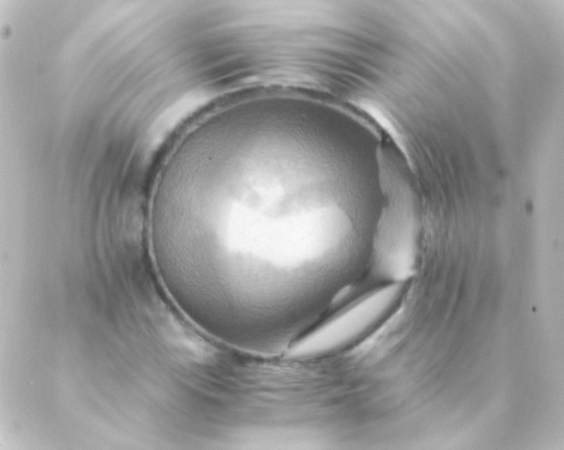 X0000088861115200706221718